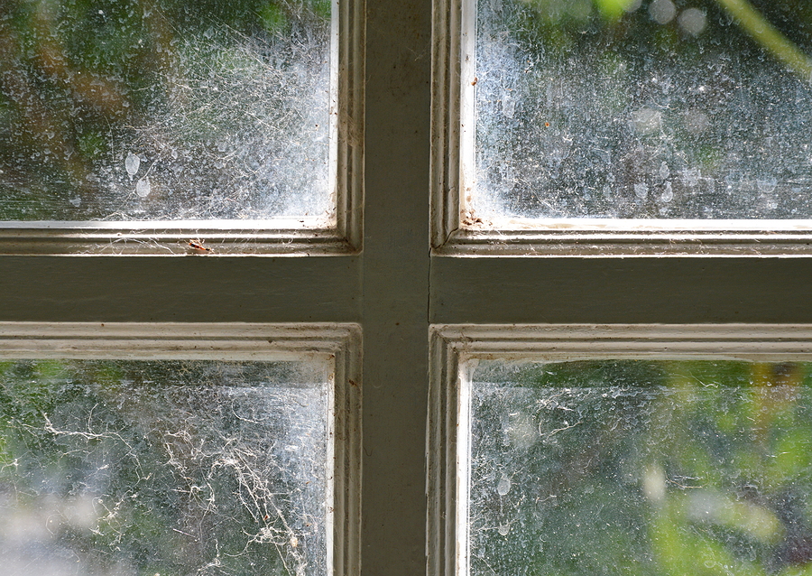 Can Hard Water Stains or Mineral Deposits Be Removed from Windows?