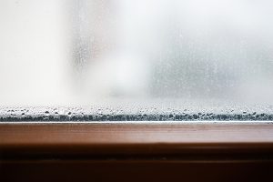 Why Are My Double-Pane Window Seals Failing and Causing Streaks?