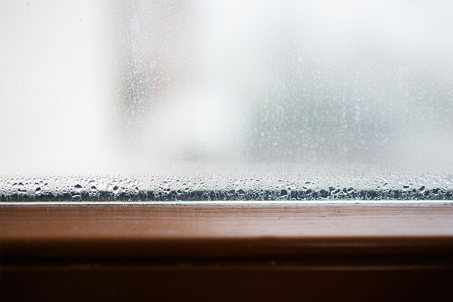 Why Are My Double-Pane Window Seals Failing and Causing Streaks?